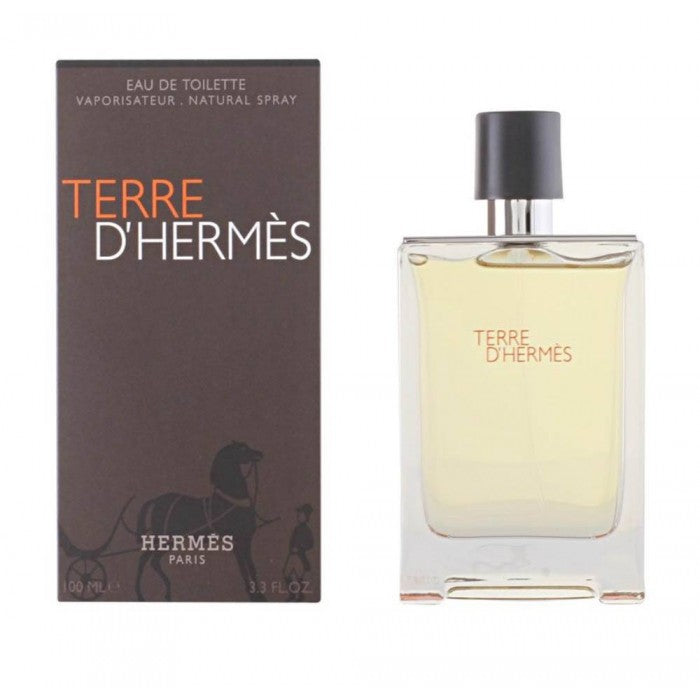 Hermes Terre D Hermes EDT 100 M