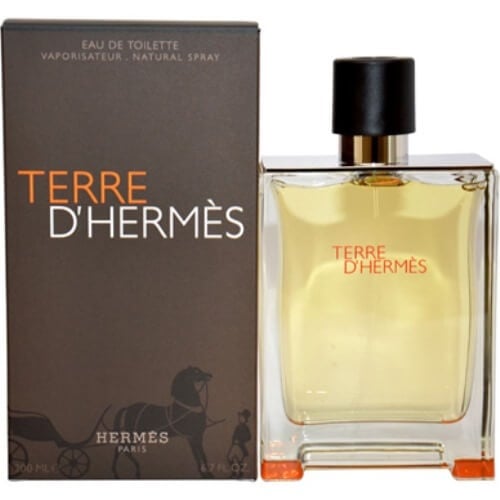 Hermes Terre D Hermes EDT TR 100 M